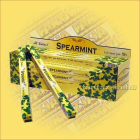 Fodormenta füstölő-Tulasi Spearmint