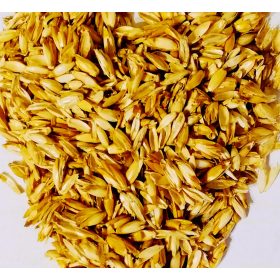 Tönkölypelyva töltet 