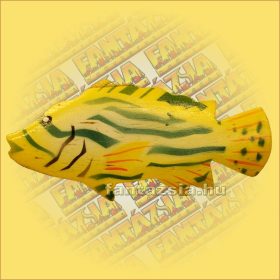 Trópusi Hal Hűtőmágnes-I