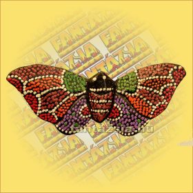 Trópusi Lepke Hűtőmágnes/Aboriginal Festéssel