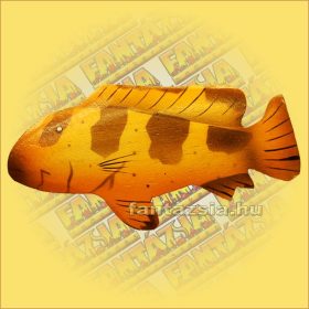 Trópusi Hal Hűtőmágnes-C